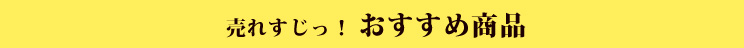 売れすじっ！おすすめ商品
